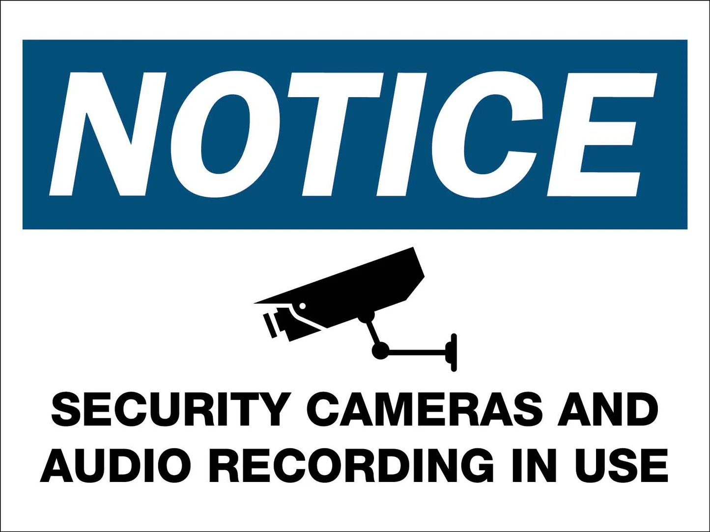 Which CCTV Camera Records Voice